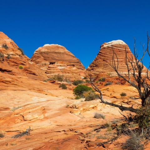 north-coyote-buttes